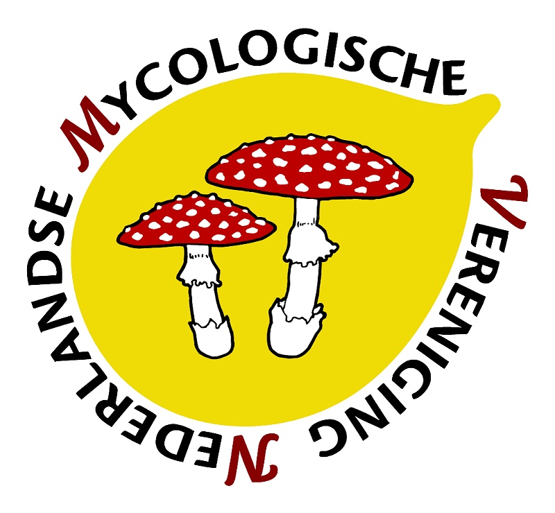 Logo NMV Logo NMV