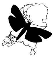 Logo Tinea Logo Tinea